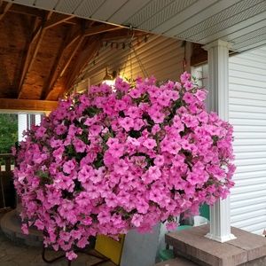 Meet your Posher, Mary